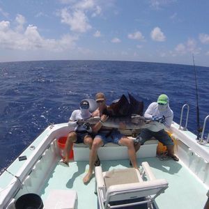 Meet your Posher, Derek